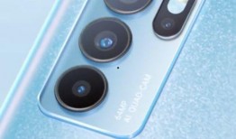 爆料二哈视频大全下载安装,笑料横生的萌犬瞬间